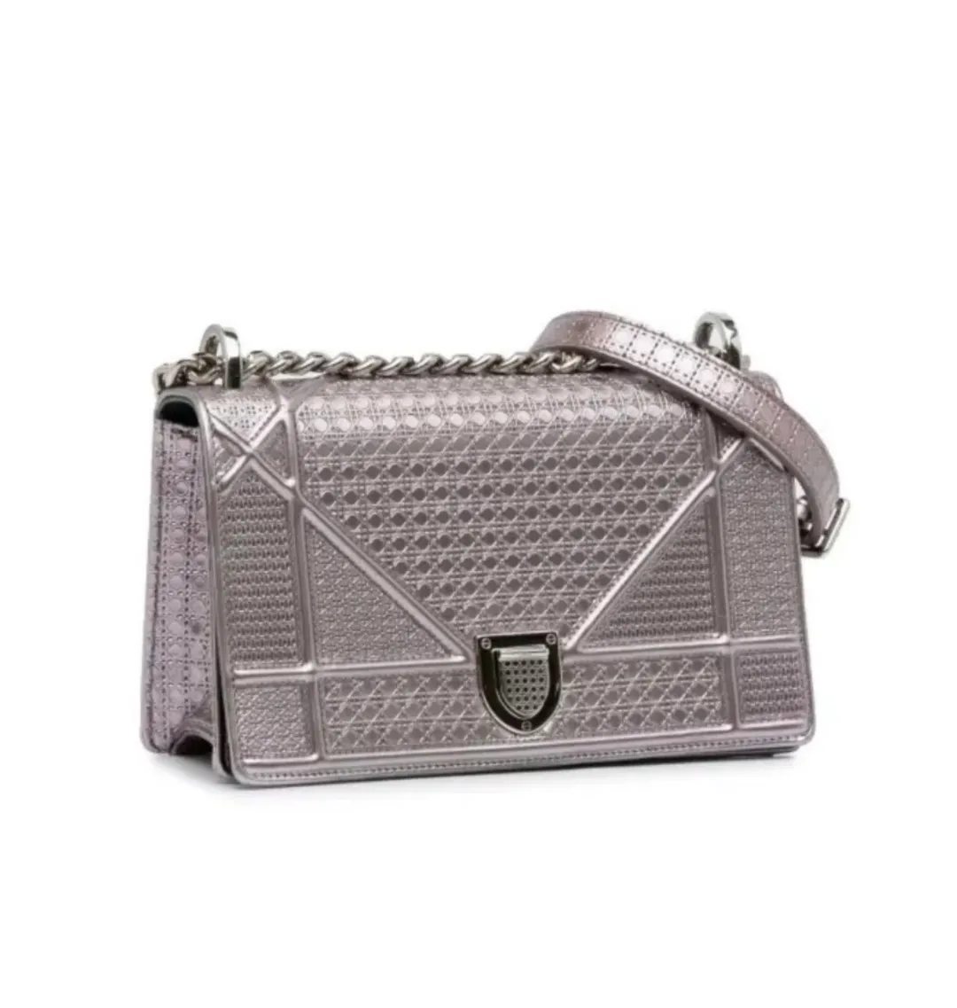 Dior Diorama Bag Silver  for rent on The Volte - main image