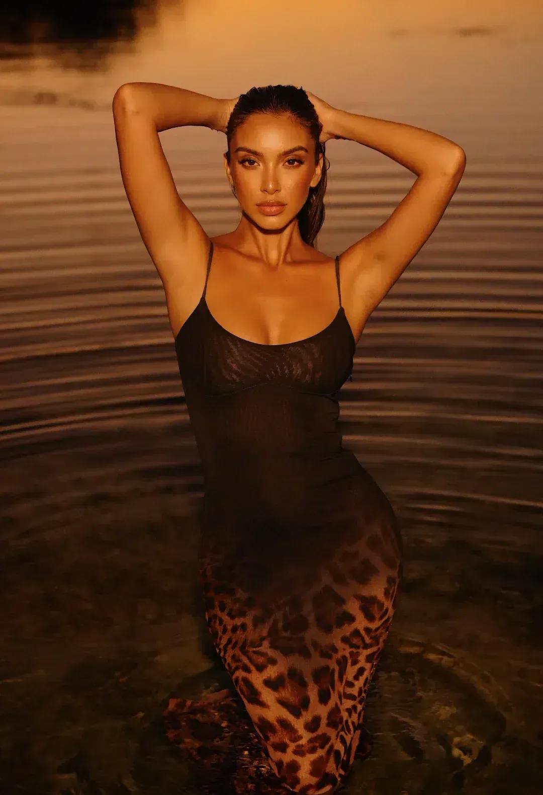 Sydney Lane Blair Sculpting Midi Dress Ombre Leopard Print Size AU 8 for rent on The Volte - main image