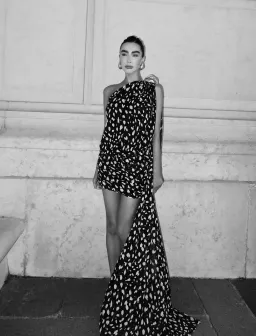 Leam Almes Dalmatian Print Chiffon Mini Dress with Metal Stone Size XS / AU 6 for rent on The Volte - image 3