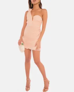 Alice McCall You're The One For Me Mini Dress Blush Size 10 for rent on The Volte - image 1
