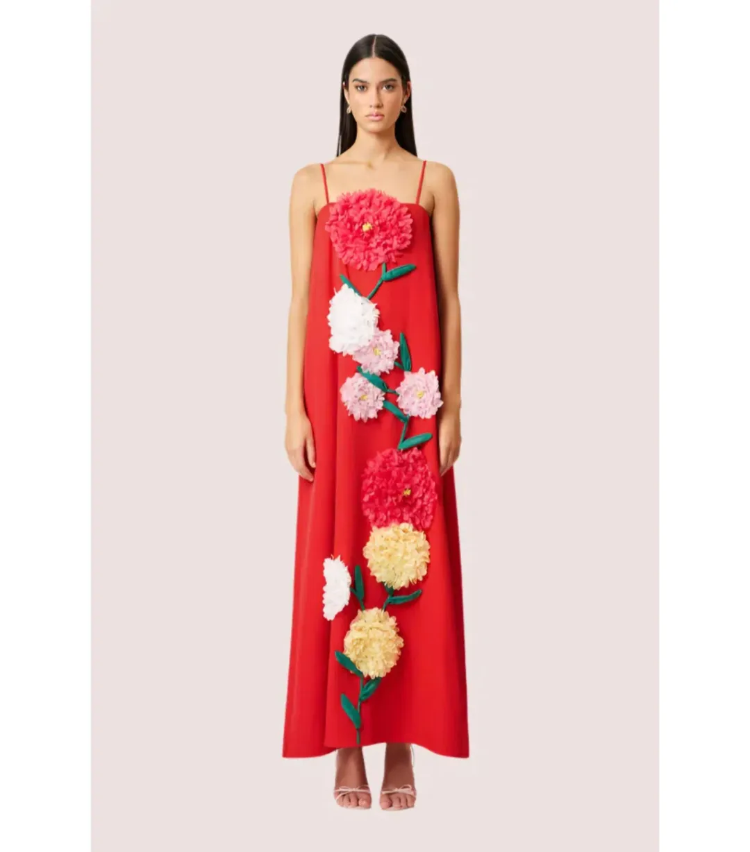 Elliatt Buttercup Embroided Maxi Dress Red Size AU 10 for rent on The Volte - main image