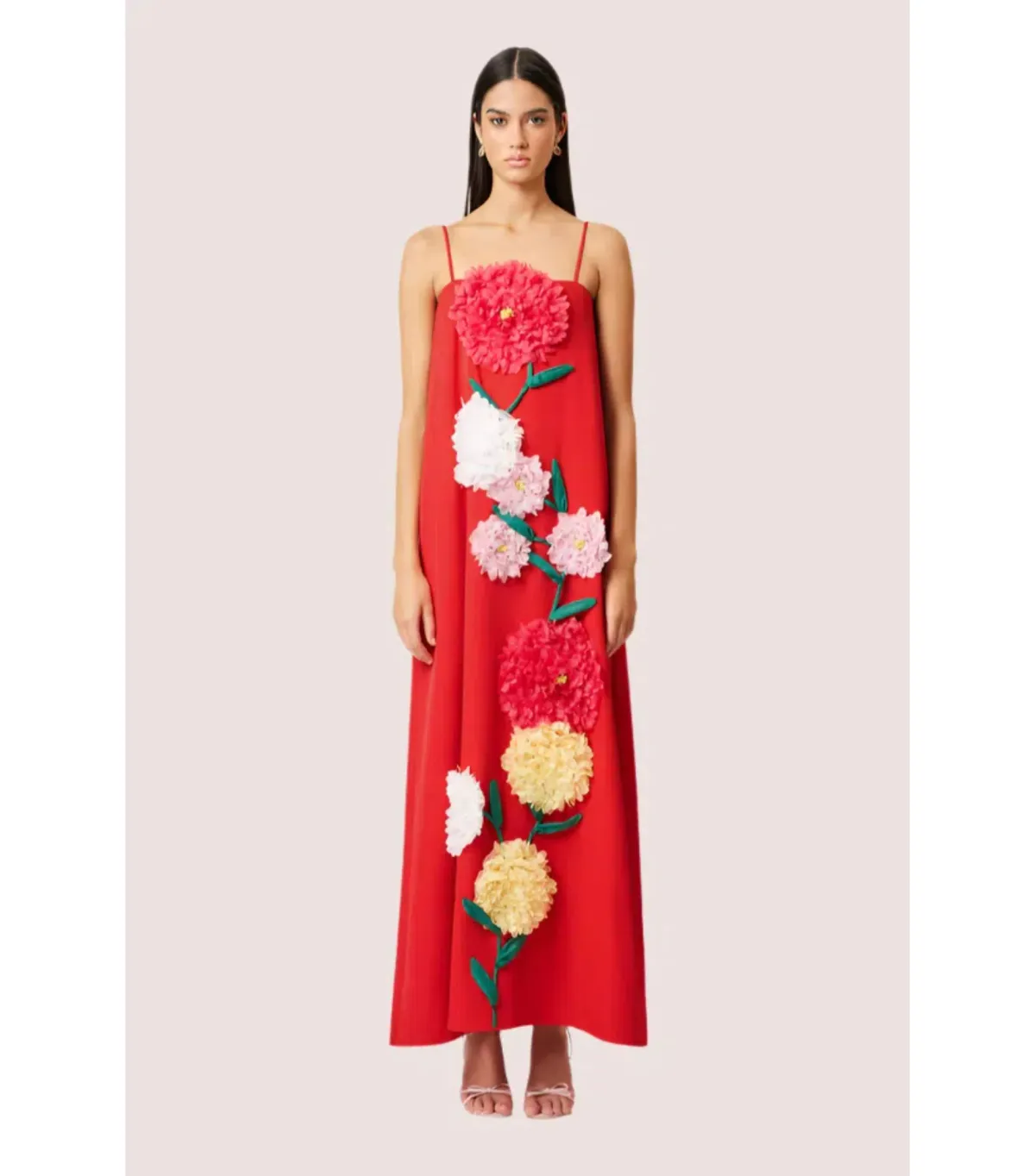 Elliatt Buttercup Embroided Maxi Dress Red Size AU 10 for rent on The Volte - main image