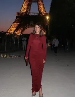 Sneaky Link Caterina Midi Dress Burgundy Size AU 8 for rent on The Volte - image 1