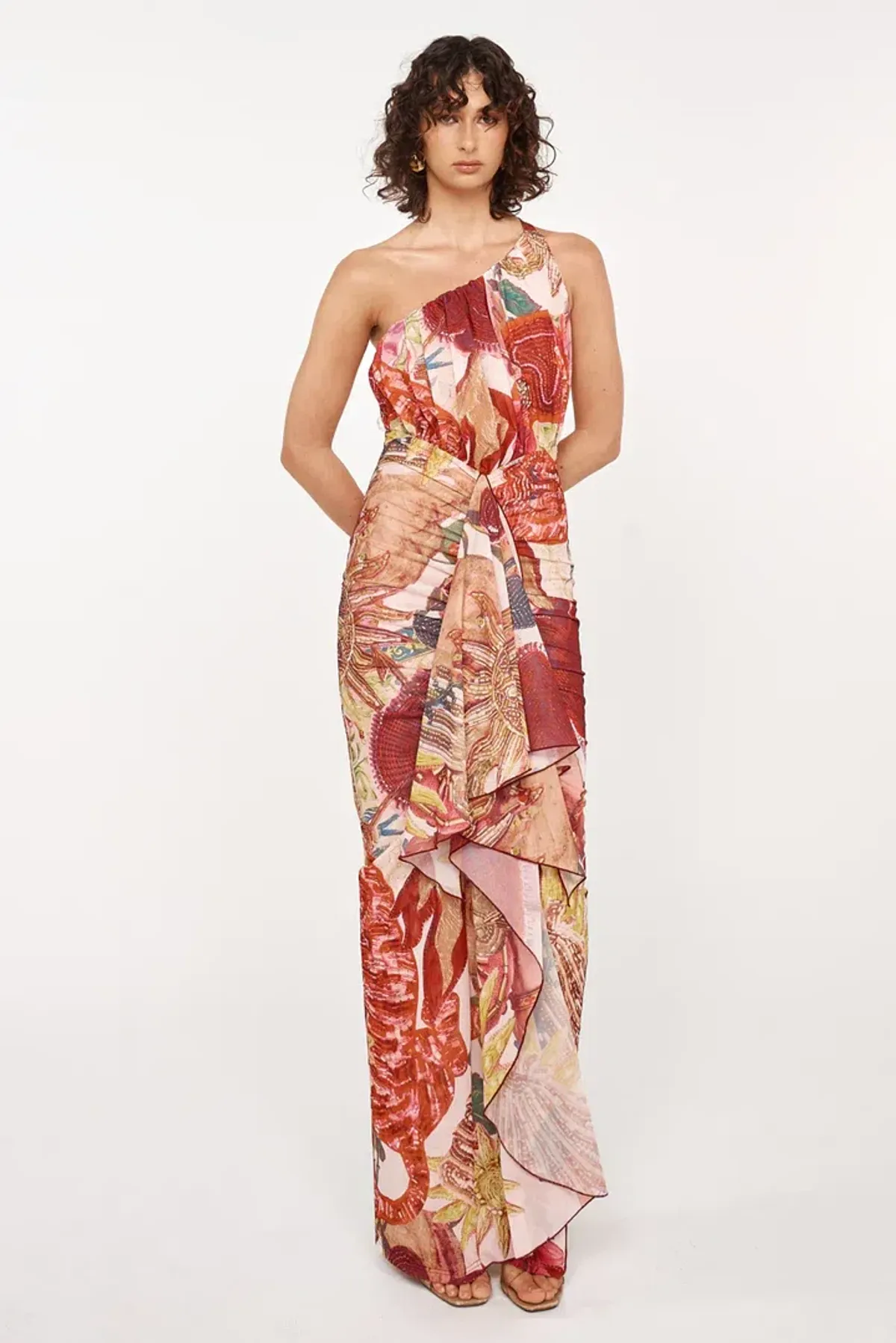 She is Olla Amadi Dress Maxi Multi Print Gown Size S / AU 8 for rent on The Volte - main image