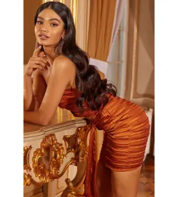 Alamour Lulia Mini Dress Rust Size S AU 8 for rent on The Volte - image 4