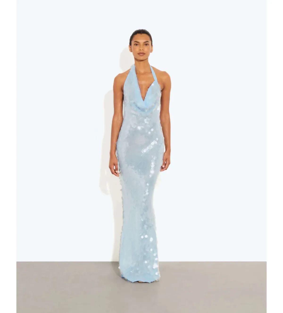 Rat and Boa Anais Maxi Dress in Blue Size S / AU 8 for rent on The Volte - main image