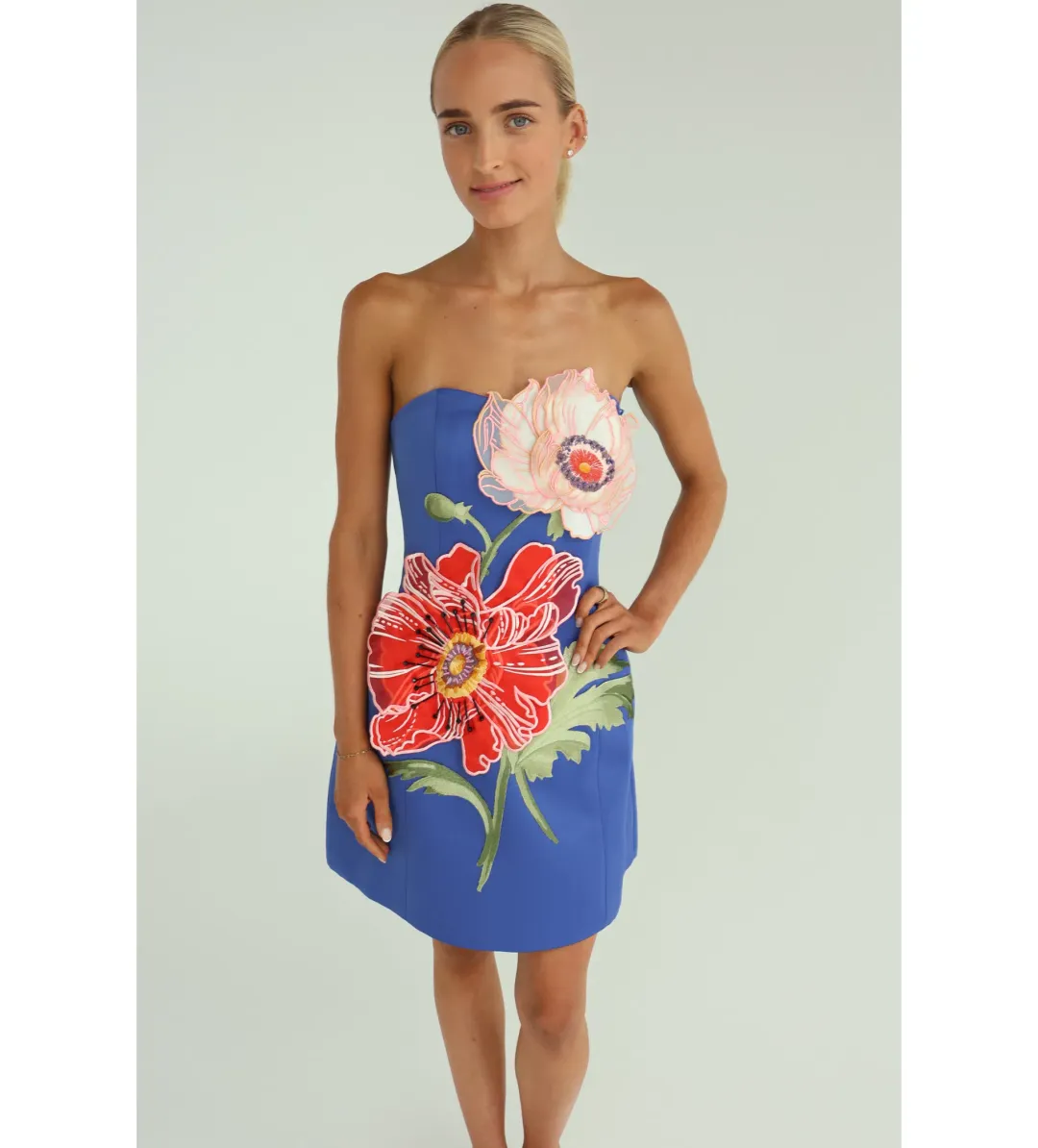 Leo Lin Rosario Applique Floral Bustier Mini Dress in Lapis Size 8 for rent on The Volte - main image