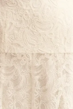 Shona Joy luminous lace strapless bustier - ivory for rent on The Volte - image 3