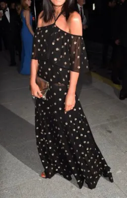 TEMPERLEY LONDON Jolie Sequin Embellished Georgette Maxi Dress Black, Size 8 for rent on The Volte - image 11