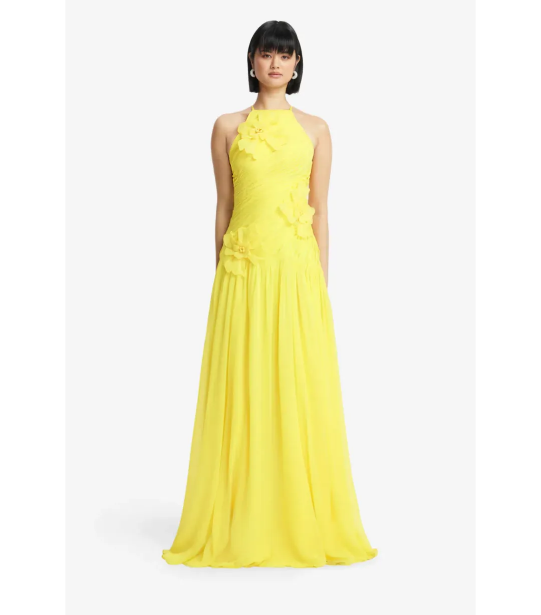 Leo Lin Amya Floral Appliqué Maxi Gown in Sunshine Size AU 8 for rent on The Volte - main image