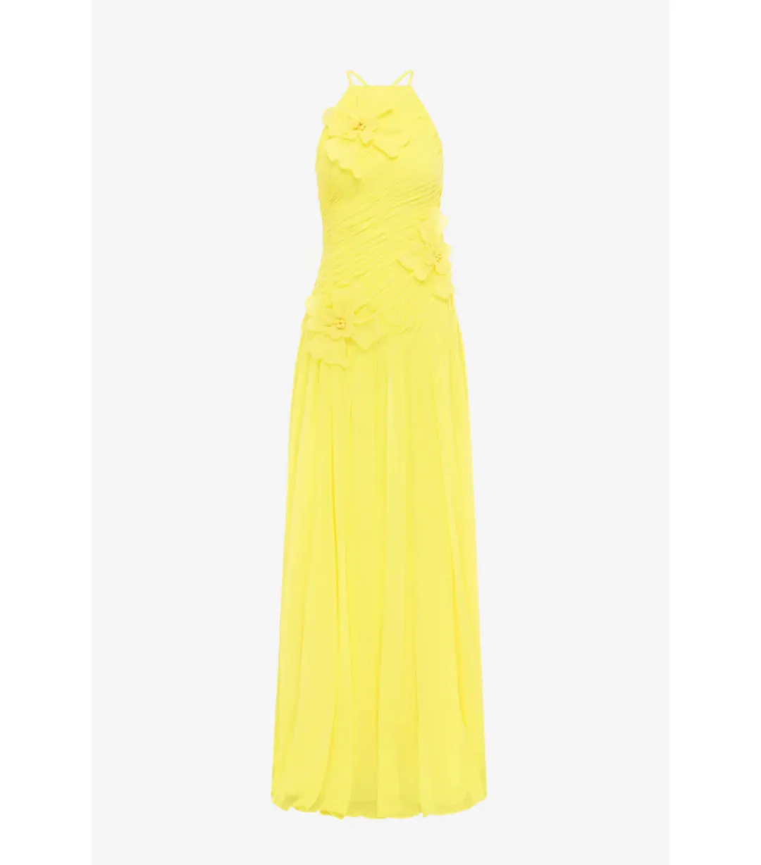 Leo Lin Amya Floral Appliqué Maxi Gown in Sunshine Size AU 8 for rent on The Volte - main image