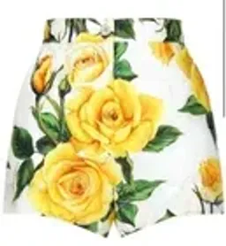 Dolce & Gabbana Multicolored Rose Print Top & Shorts Size 10 for rent on The Volte - image 2