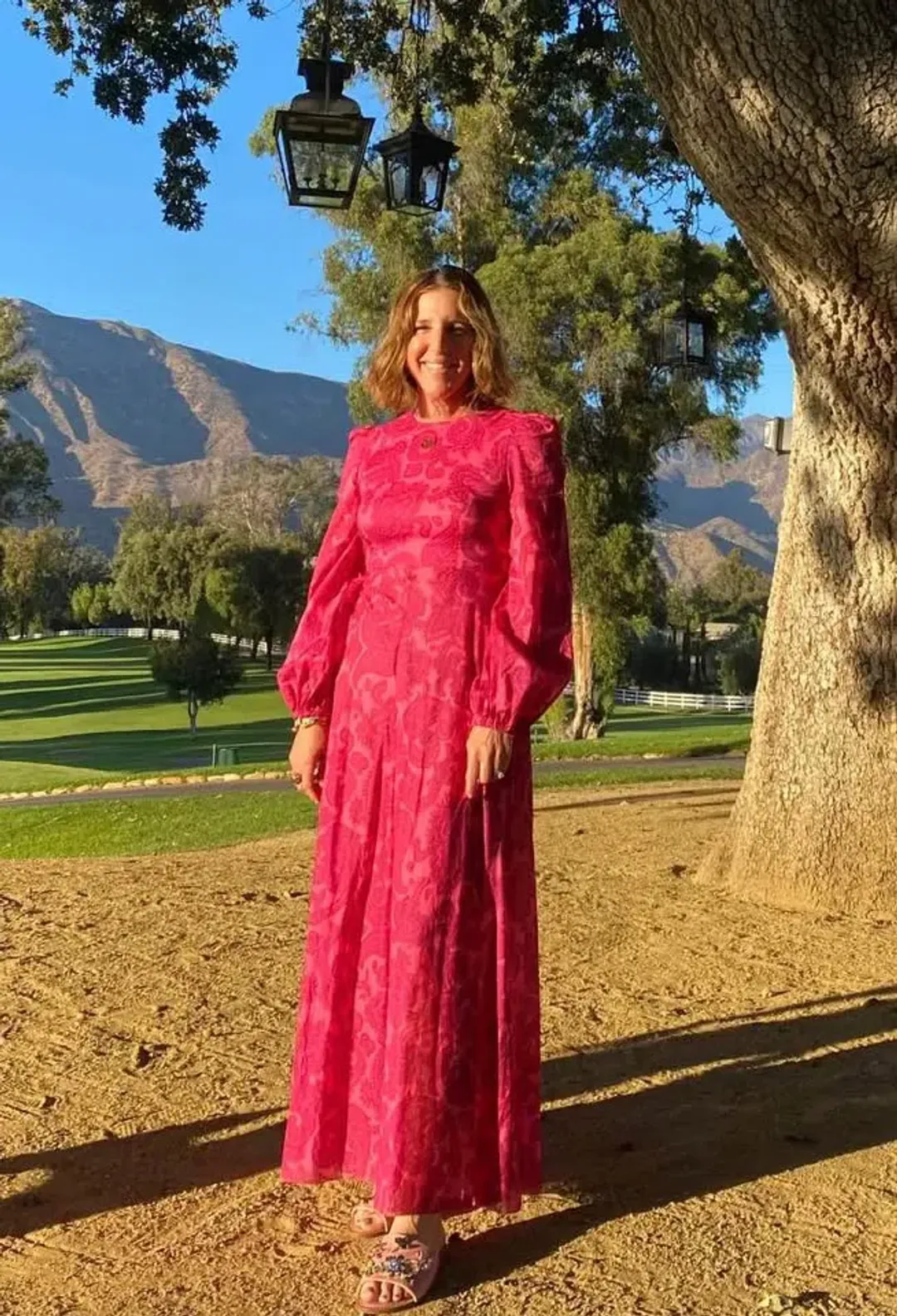 Zimmermann Edie High Neck Dress Pink Size 3 / AU 14 for rent on The Volte - main image