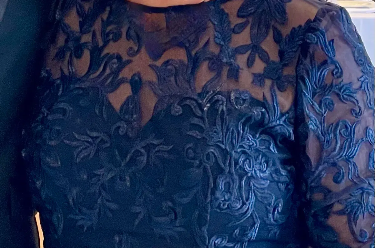 Formal Gown by Bariano Navy Lace 3/4 sleeves tapered length for rent on The Volte - main image