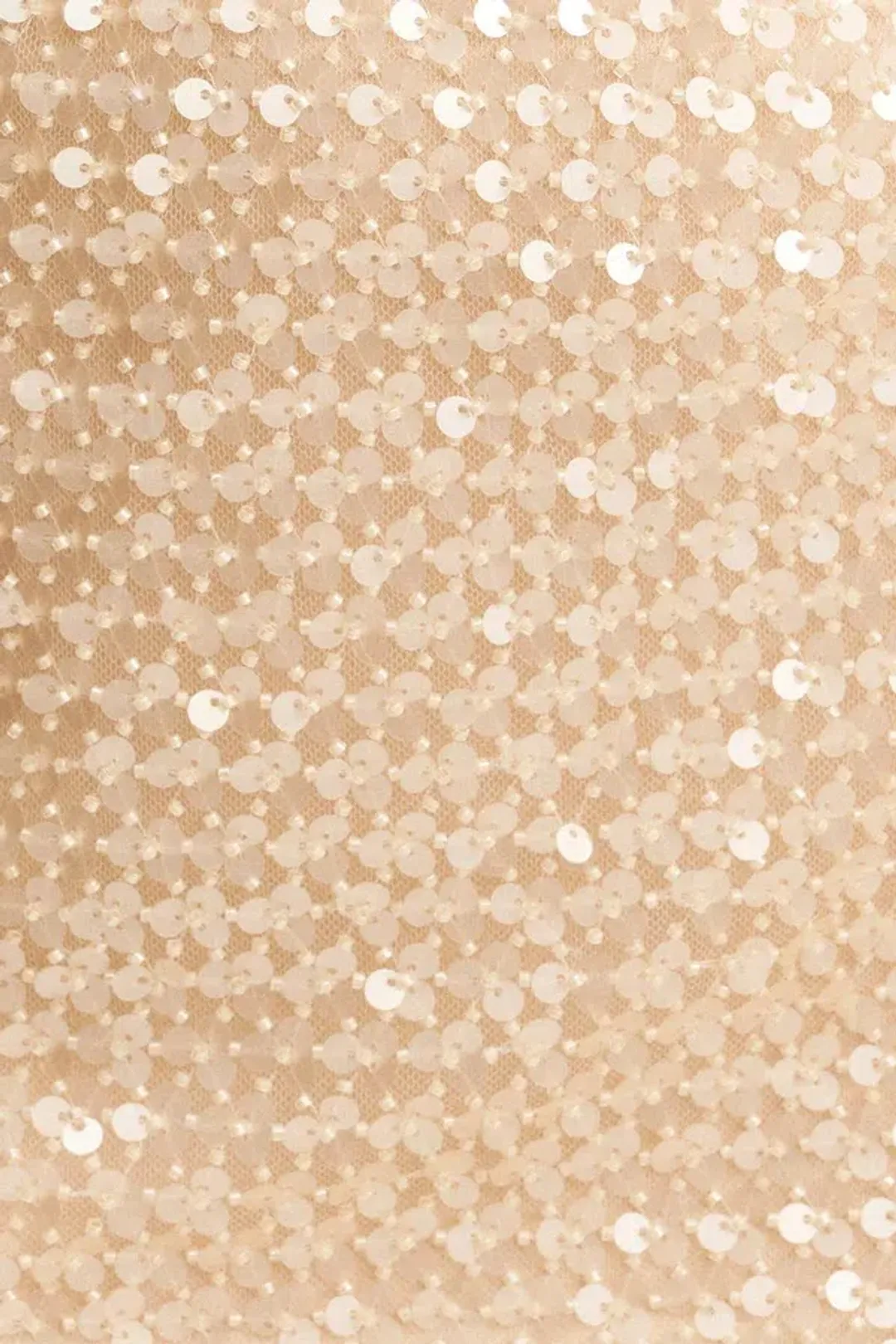 Shona Joy Everly High Neck Sleeveless Maxi Dress Macadamia Size 10 for rent on The Volte - main image