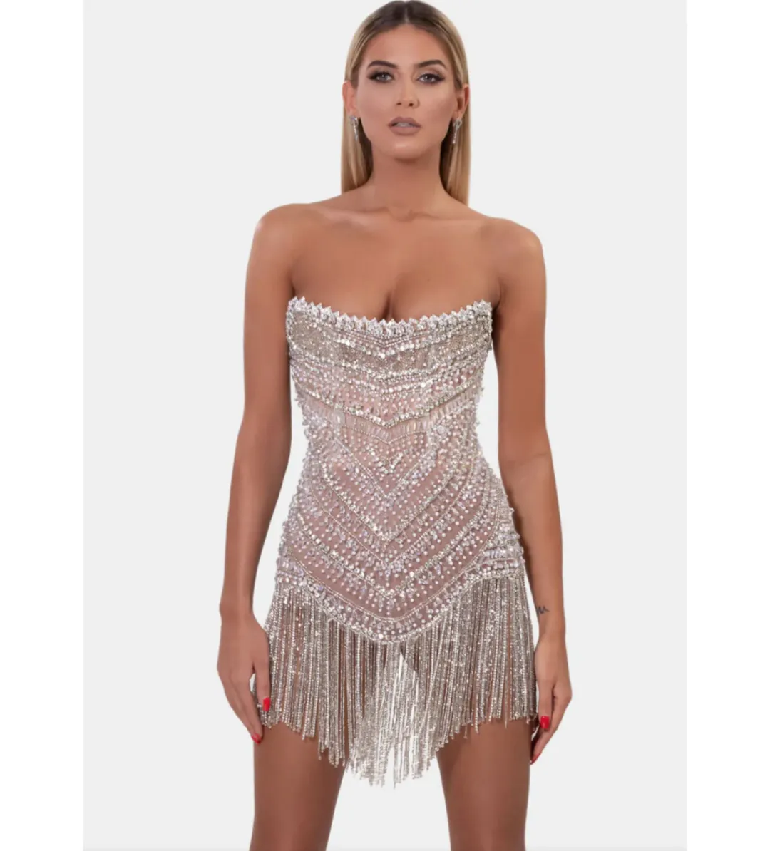 Albina Dyla Wild Silver/nude Corset Dress Nude Size 10  for rent on The Volte - main image