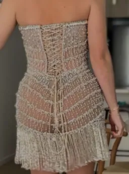 Albina Dyla Wild Silver/nude Corset Dress Nude Size 10  for rent on The Volte - image 4