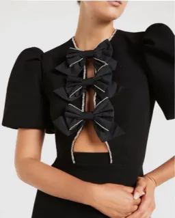 Katie Bow Mini  for rent on The Volte - image 2