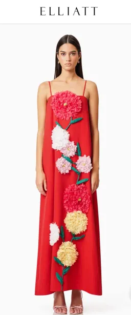 Elliatt Buttercup Embroidered Maxi Dress In Red for rent on The Volte - image 1