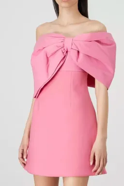 Rachel Gilbert Kace Mini Dress Pink Size2/AU10 for rent on The Volte - image 3