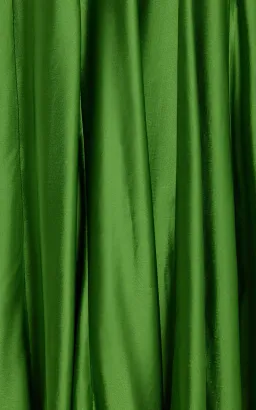 ANNA QUAN Keira Draped Maxi Dress Gown in Green Fern 10 for rent on The Volte - image 12