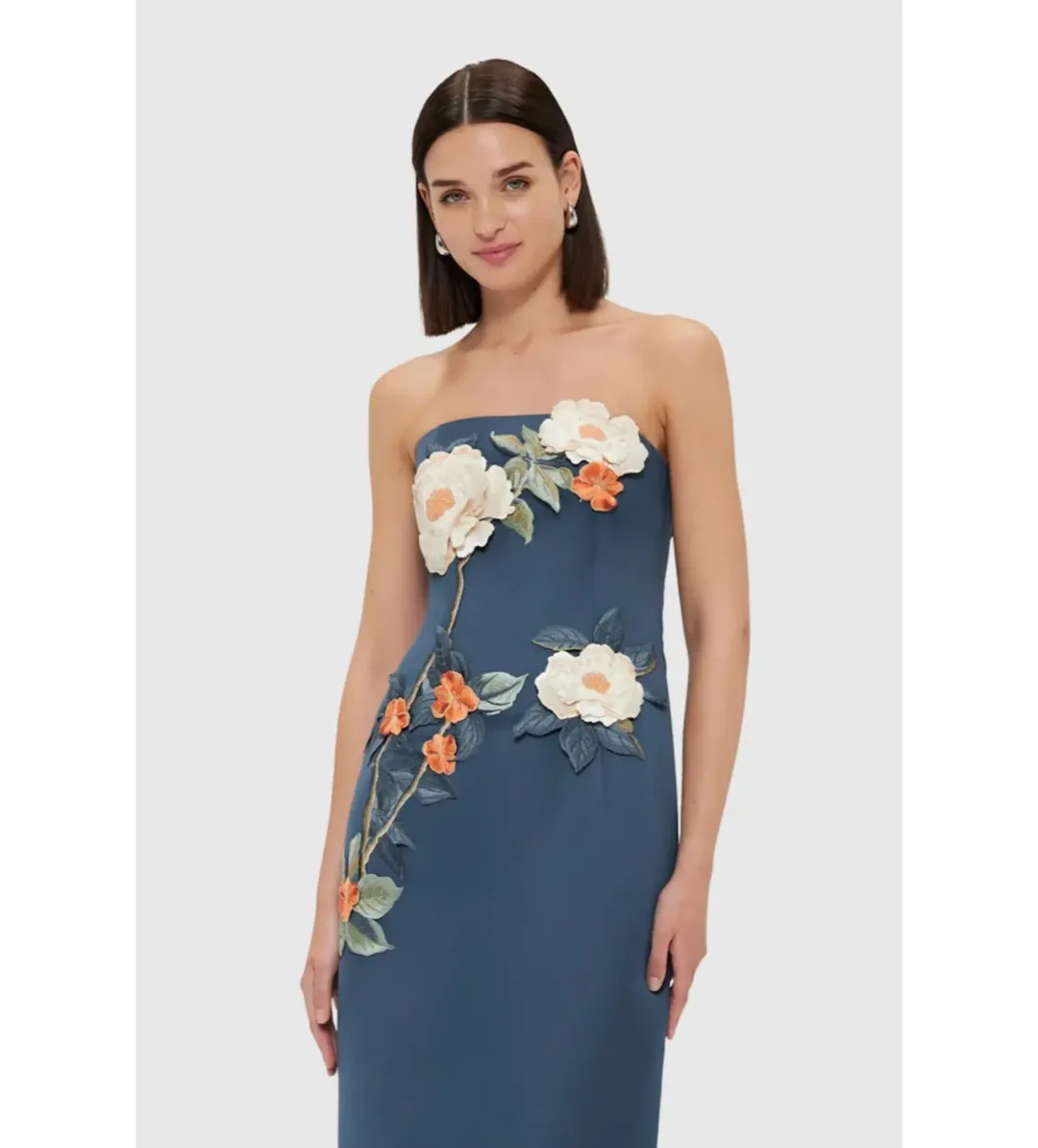 Leo Lin Rayna Appliqué Floral Bustier Maxi Dress Pear Blossom Size AU 12 for rent on The Volte - main image