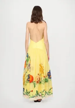 ALEMAIS Dahlia Halter Gown Yellow Size 10 AU for rent on The Volte - image 16