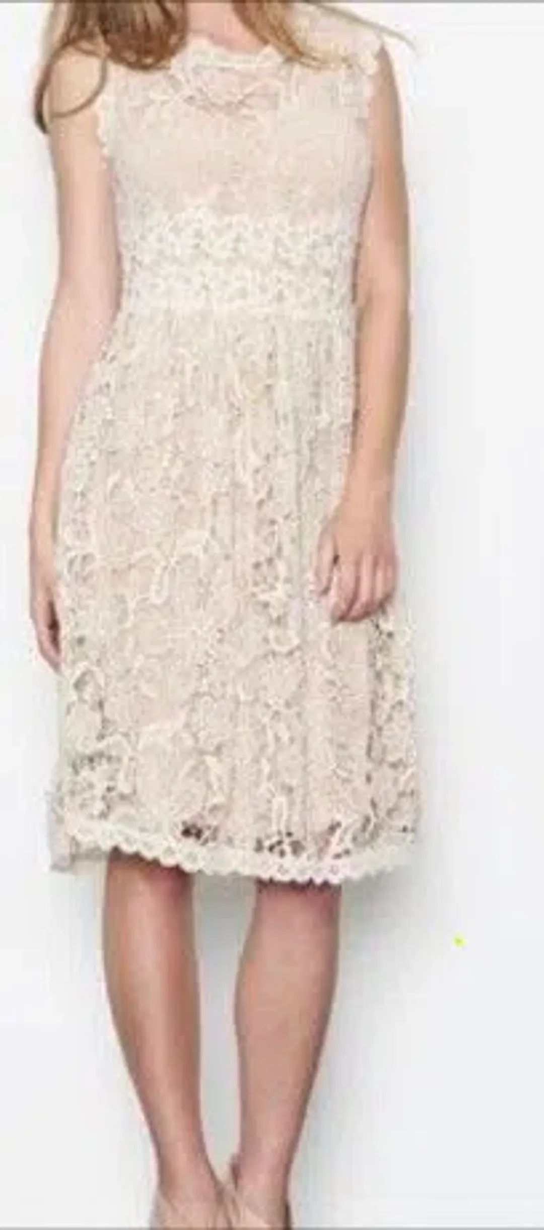Trelise Cooper Play Date Dress  for rent on The Volte - main image