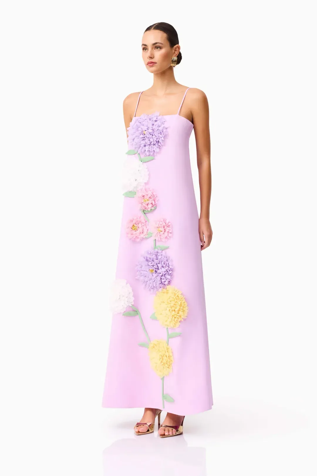 Elliatt Buttercup Embroidered Maxi Size 16 Purple for rent on The Volte - main image