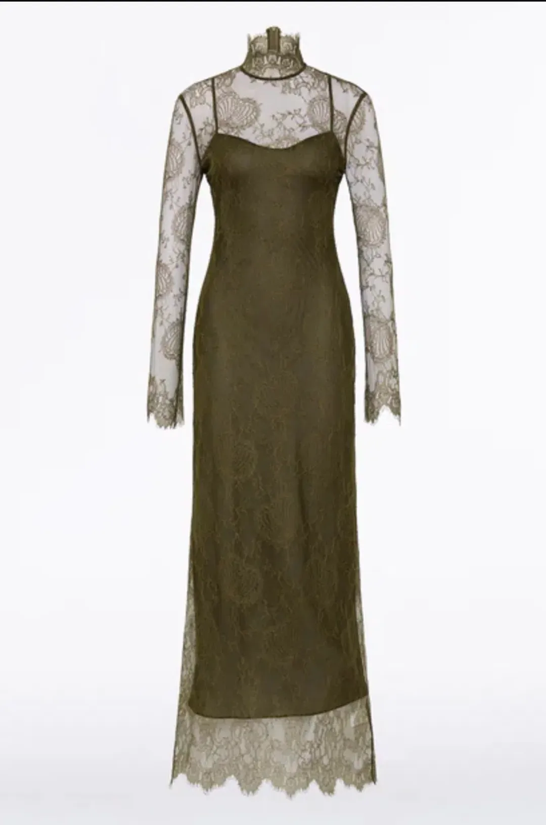 Carla Zampatti Juniper Lace Gown, size 6 for rent on The Volte - main image