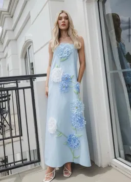 Elliatt Buttercup Maxi Dress in Blue for rent on The Volte - image 1