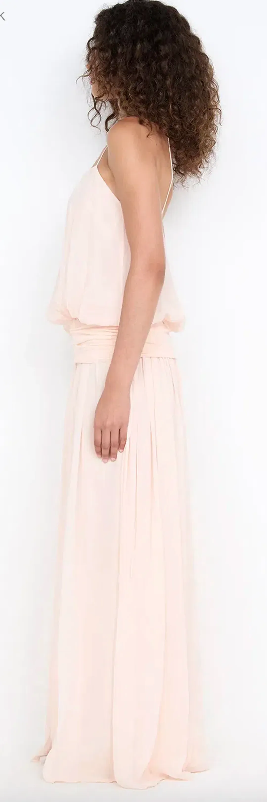Bec + Bridge Camille Blouson Dress Peach Size 4 for rent on The Volte - main image