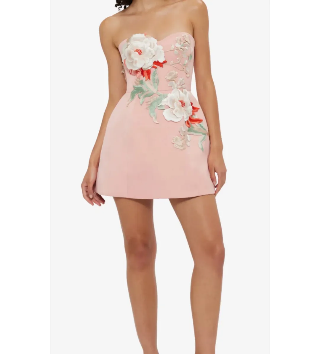 Leo Lin Rosario Appliqué Bustier Mini Dress Peony Print Size 12 for rent on The Volte - main image
