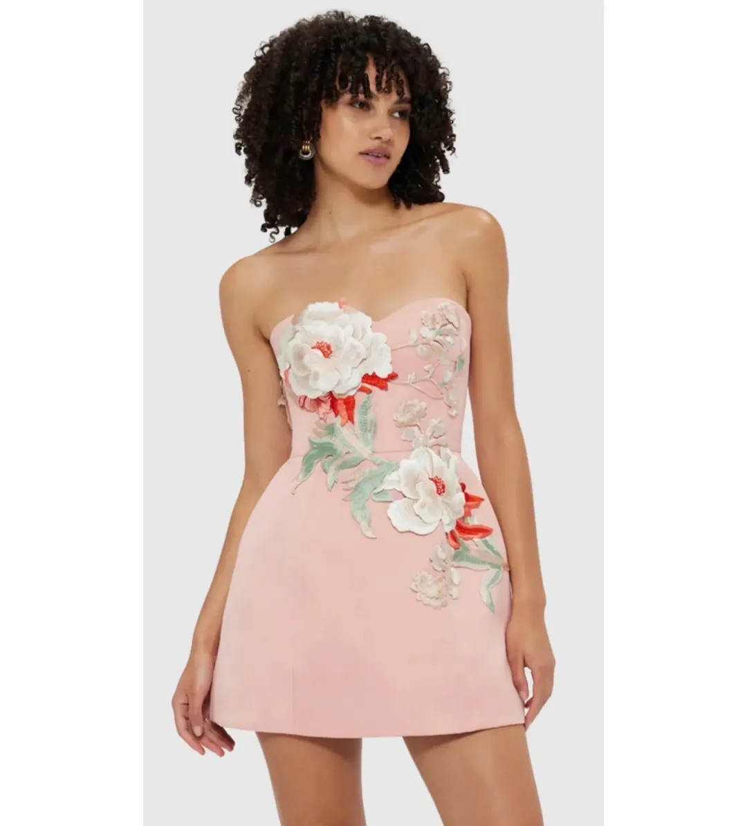 Leo Lin Rosario Appliqué Bustier Mini Dress Peony Print Size 12 for rent on The Volte - main image