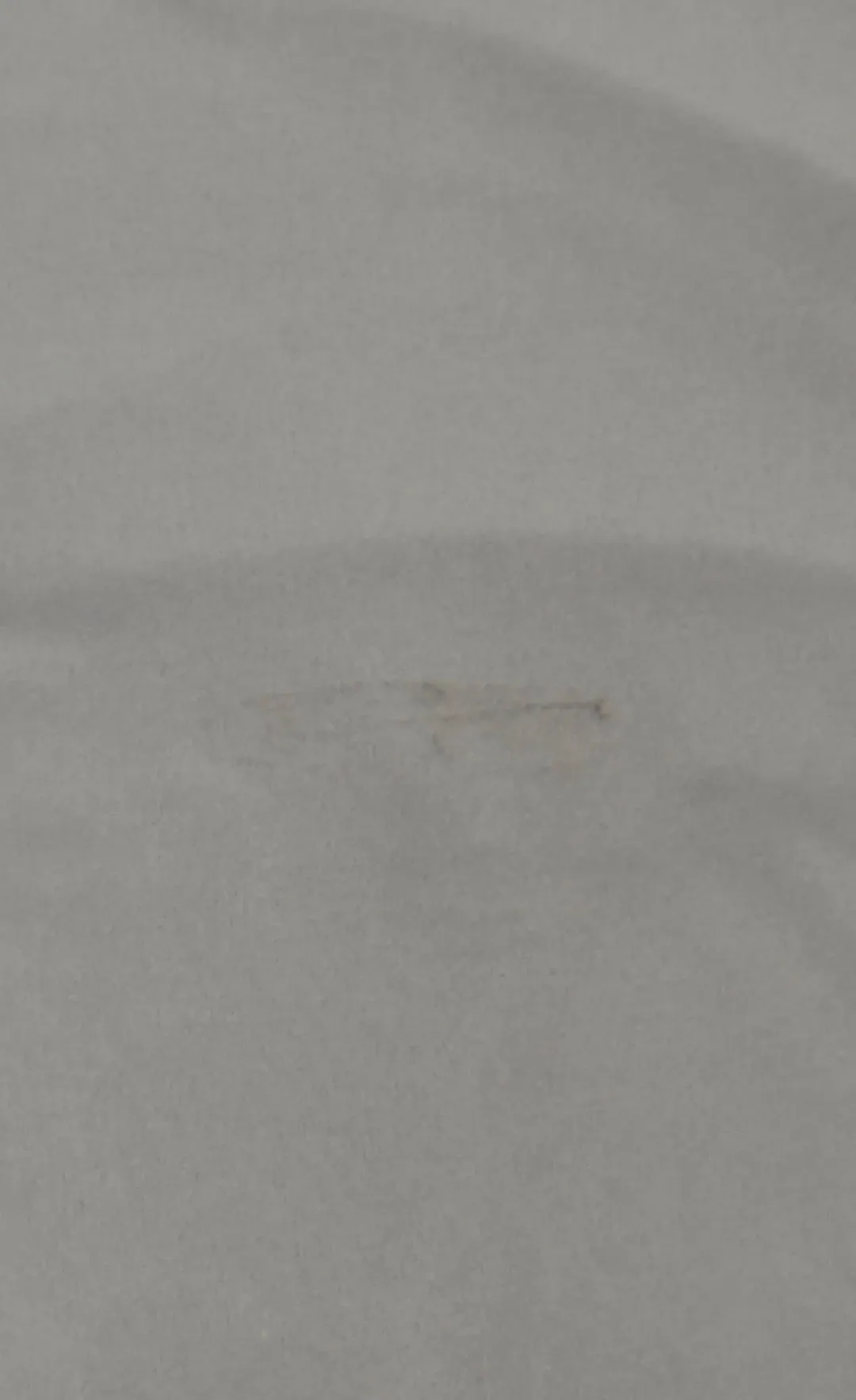 La Marie Raya Set for rent on The Volte - main image