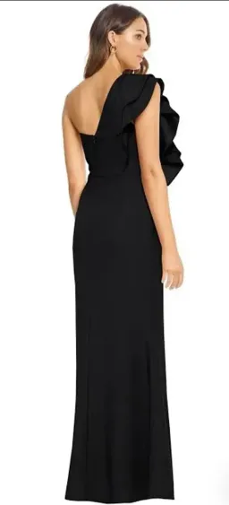 Sheike Freefall Maxi Sz14 for rent on The Volte - image 2