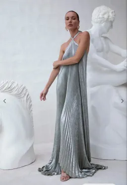 L'idee Deesse Gown Shimmer Size 12 for rent on The Volte - image 3