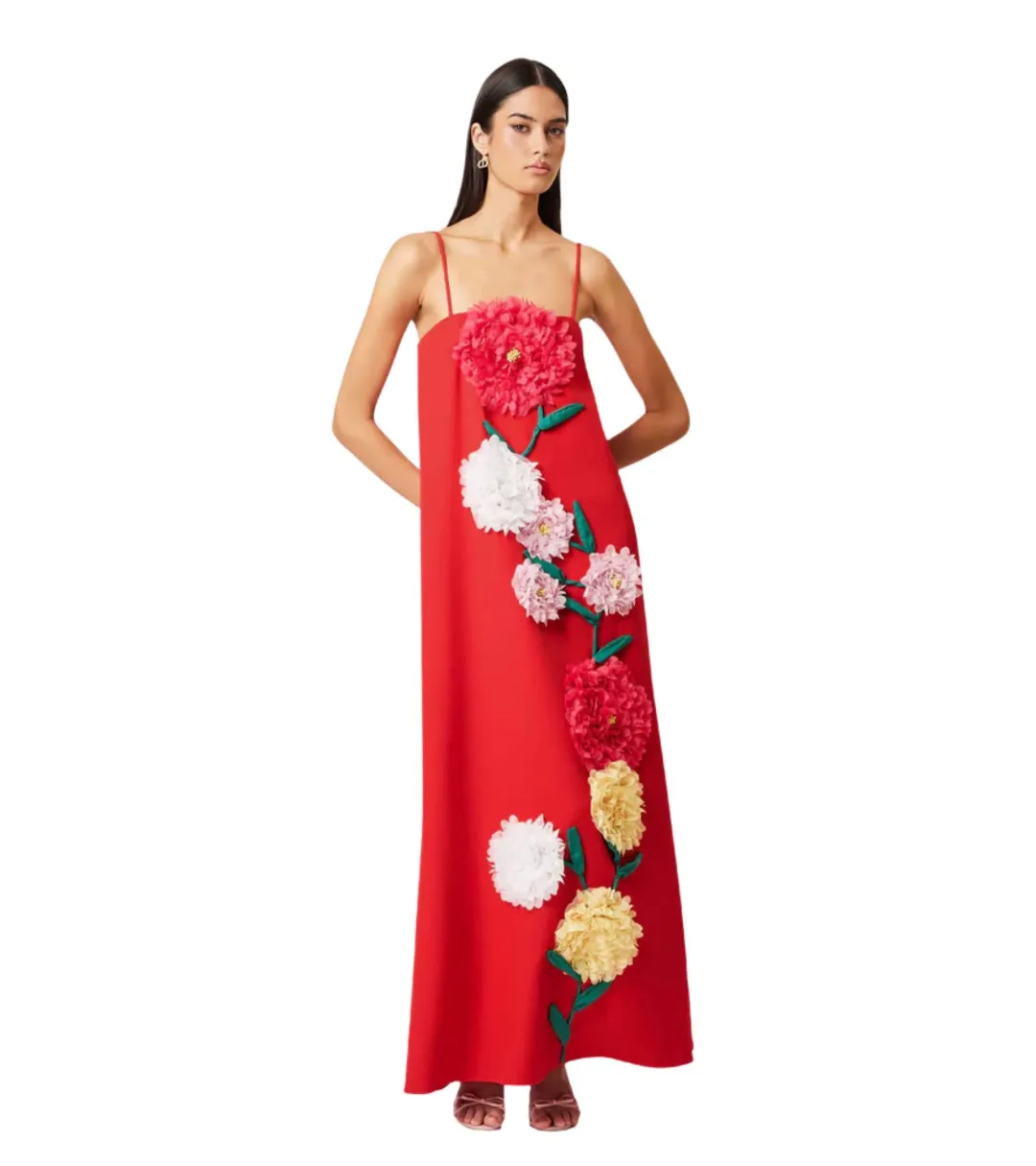 Elliatt Buttercup Embroidered Maxi Dress - Size XL / AU 14 for rent on The Volte - main image
