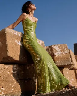 The Gina Dress for rent on The Volte - image 1