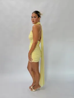 Effie Kats Sabine Mini Lemon- S for rent on The Volte - image 3