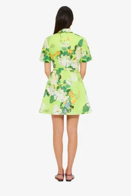 Leo Lin Brigitte mini dress Hydrangea in Lime Sz 10 for rent on The Volte - image 2