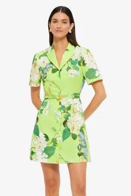 Leo Lin Brigitte mini dress Hydrangea in Lime Sz 10 for rent on The Volte - image 1