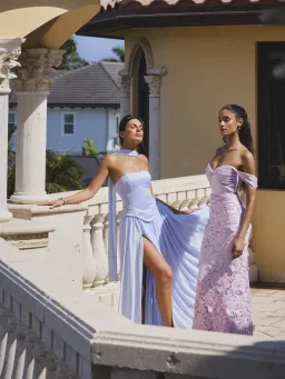 Qianna Baby Blue Peplum Drop Waist Chiffon Gown for rent on The Volte - image 5