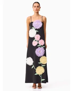 Elliatt Buttercup Embroidered Maxi Dress Black Size L for rent on The Volte - image 1