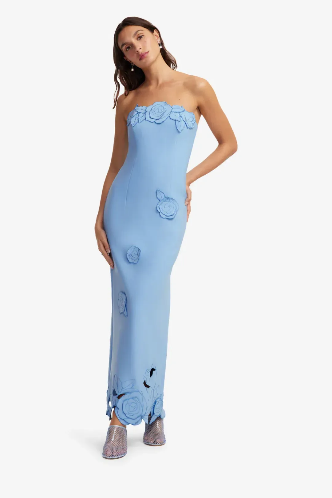 Leo Lin Applique Bustier Maxi Dress in Pastel Blue Size 12 for rent on The Volte - main image