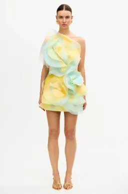 ACLER COTWALL MINI DRESS 12 for rent on The Volte - image 1