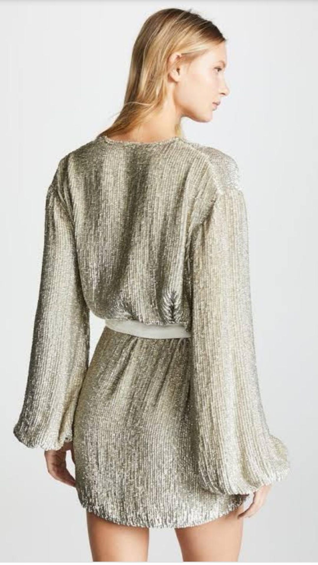 Retrofete Gabrielle Robe Dress Champagne Size 6 for rent on The Volte - main image