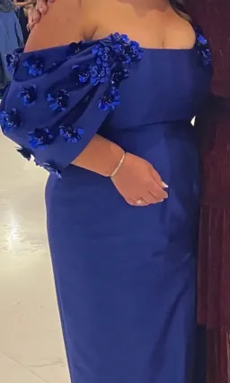 Rachel Gilbert Vito Gown  for rent on The Volte - image 3