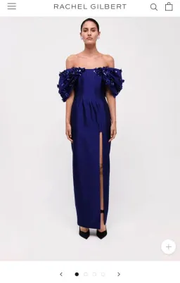 Rachel Gilbert Vito Gown  for rent on The Volte - image 1