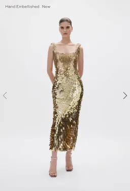 Rachel Gilbert Remy Dress midi size 6 for rent on The Volte - image 3